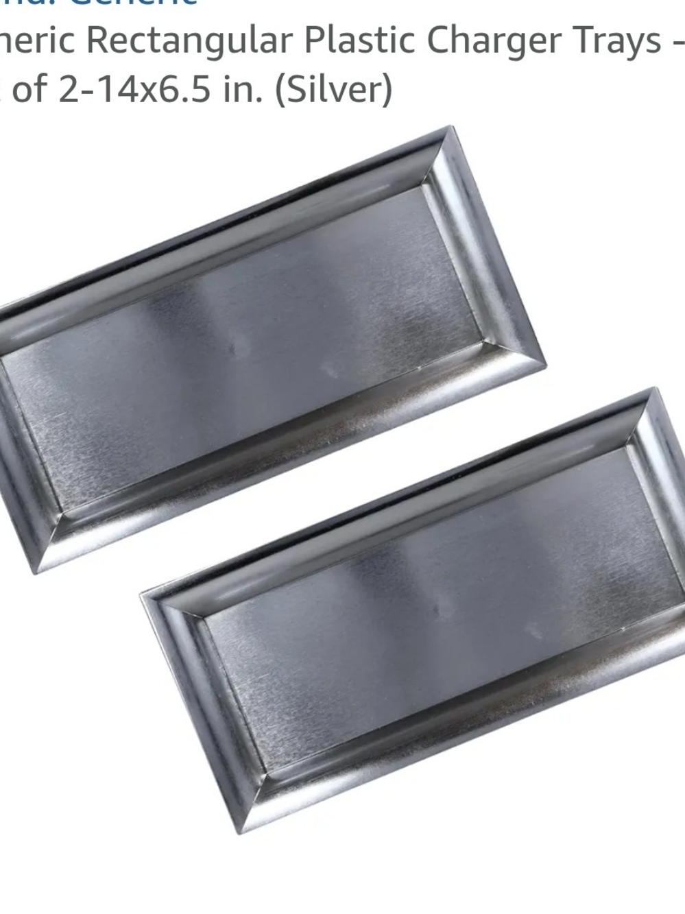 Rectangular Charger Trays - Set of 2 - Brushed Silver